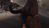 ss-16.png