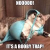 boob_memes_13.jpg
