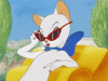 wink-cat-cartoon.gif