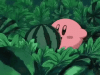 watermelon-kerby.gif