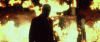 Hitabso.gif