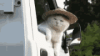 1652482705850.gif