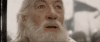 1753754317960.gif