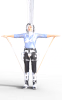 amelia.png amelia.png