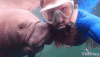 A678E923-CB7C-4574-88F4-B160110AAB57.gif