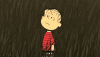 12.gif