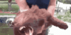 1754035024751.gif