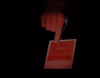 The Last Picture.png