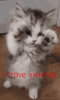 PsCfQ7s.gif