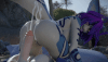 3.gif 3.gif
