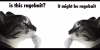 ragebait.png