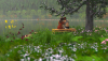 Hannah Bailey Lakeside.png