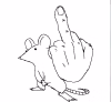 Rat.PNG