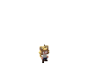 Neko.gif