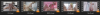 Screenshot 2025-08-14 135305.png