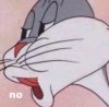 bugs no.jpg