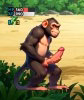 monkeys-watermarked2.jpg