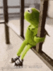 kermit-the-frog-kermit.gif