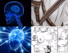1755441860519.png