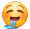drooling-face@2x-1614975871.png