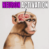 IfbzNeuronActivationGIF.gif
