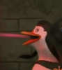PenguinsOfMadagascaGIF.gif
