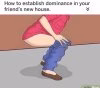 1755942039076.jpeg
