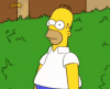 homer-simpson-hide-in-shrubs.gif homer-simpson-hide-in-shrubs.gif