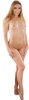 body.png