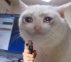 1756122049454.png