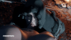 4a3cb2e3a598a6.gif 4a3cb2e3a598a6.gif
