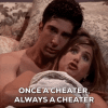 once-a-cheater.gif