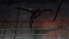 Catfall 0.png