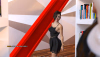 screenshot0003.png