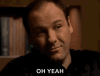 the-sopranos-tony-soprano.gif