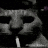 1000149351.gif