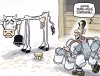 milking-the-cow[1].jpg