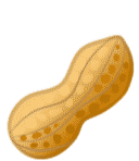 peanut-nut.gif