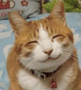 1756743326325.png