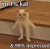 1757017746155.png