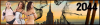 1757057419606.png
