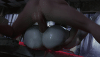 sadako4-long.gif