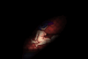 Leah_Prophecy_cowgirl.gif Leah_Prophecy_cowgirl.gif