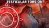 testicular-torsion-torsion.gif