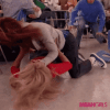 fight-fight-fight-498-x-498-gif-o57iydnx85vbkc3f.gif