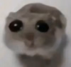 5313-sad-hamster.png 5313-sad-hamster.png