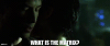 2aac0be9-3caa-4bf3-ae71-b3d0d24d527c_text.gif