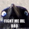 1757894967251.png 1757894967251.png