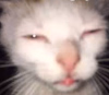 1758062736649.png