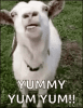 goat-yum.gif